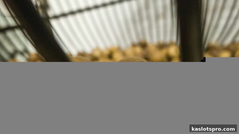 数字娱乐玩法智慧与ka电子首存礼遇全揭秘