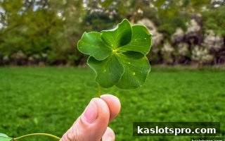 ka电子视角：彩票透明度如何重塑公众信任基石