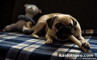 ka电子轮盘入门指南：规则、概率与致胜策略
