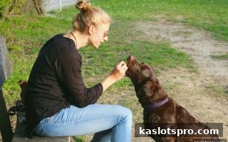 ka电子签到额外奖励全攻略：规则解读、合规技巧与风险防范