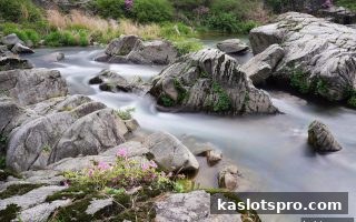 ka电子电竞赛事分析与预测：合规合作深度指南