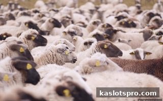 ka电子带你玩转红中麻将：即时比分数据查询与实战全解析